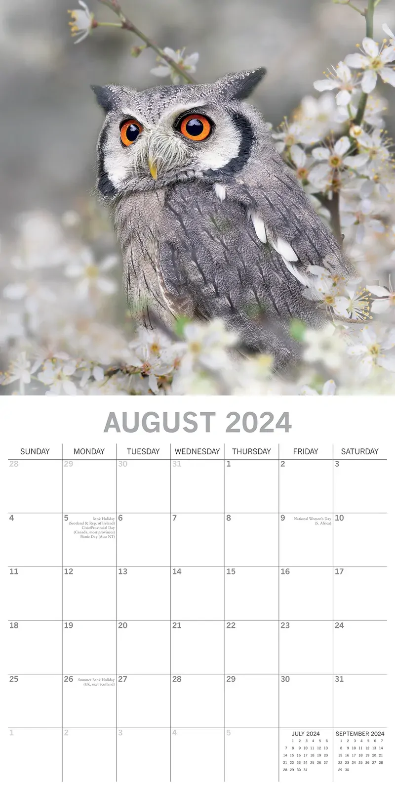Owls 2024 Square Wall Calendar Pets Animals 16 Months New Year Christmas Planner Price