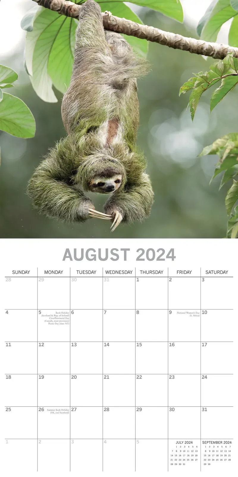 Sloths - 2024 Square Wall Calendar Pets Animals 16 Months New Year Gift Planner Price