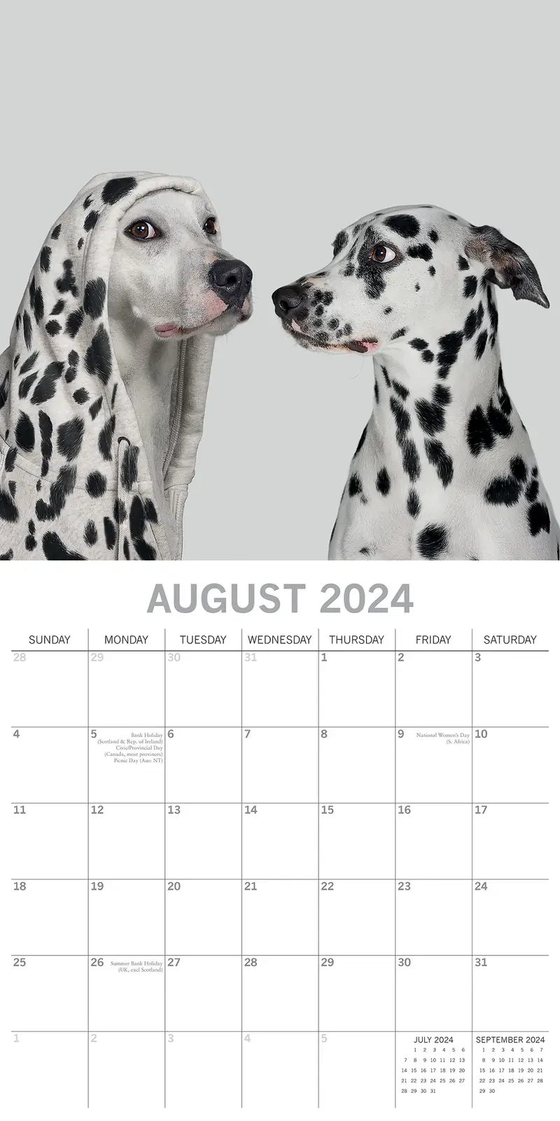 Dogs as Animals 2024 Square Wall Calendar Pets Animals 16 Months Premium Planner Price