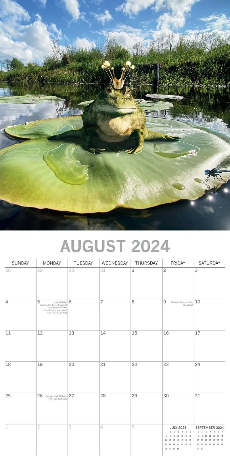 Fabulous Frogs - 2024 Square Wall Calendar Pets Animals 16 Month Premium Planner Price