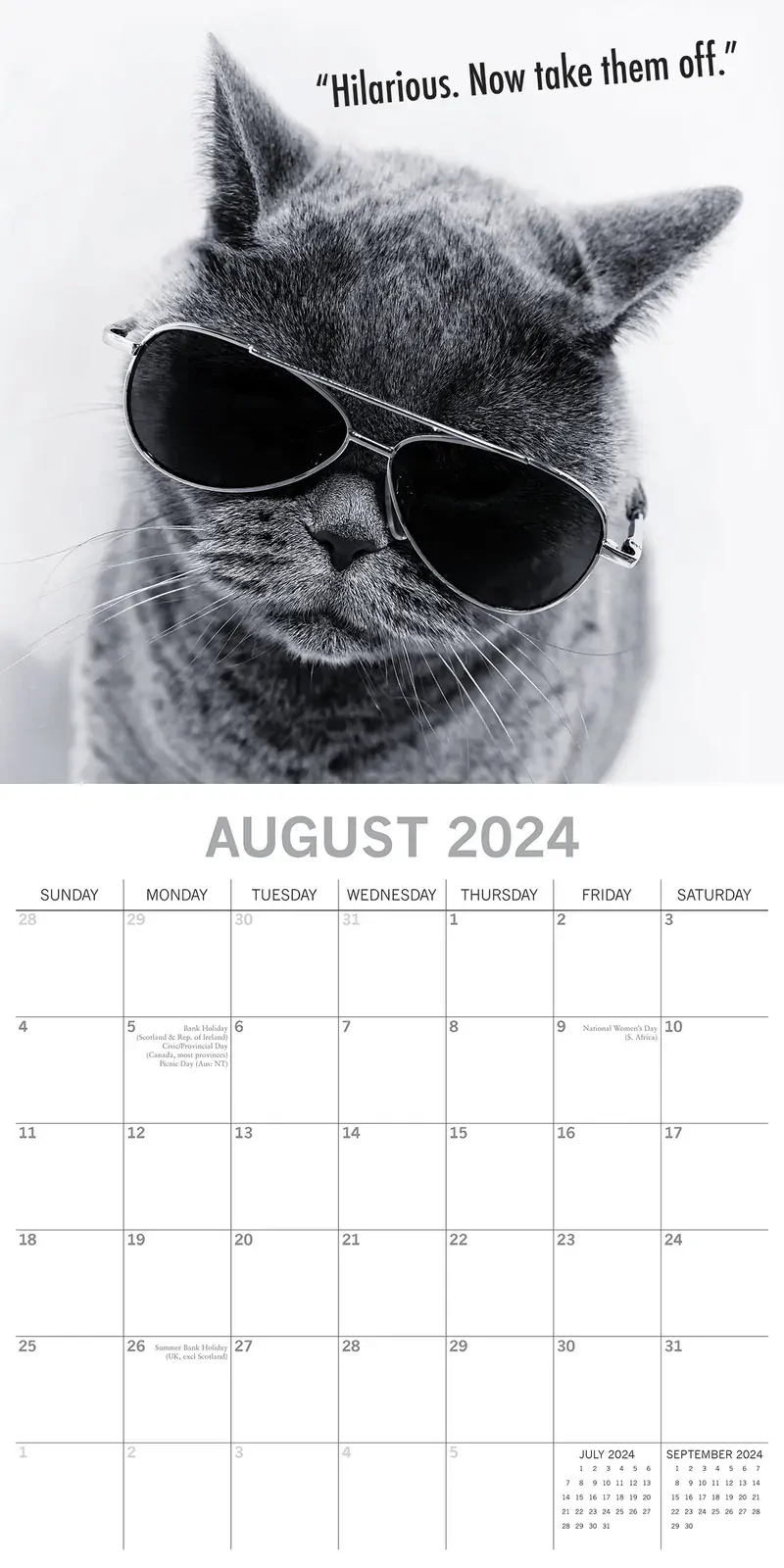 Moggies - 2024 Square Wall Calendar Pets Animals 16 Months Premium Planner Gift Price
