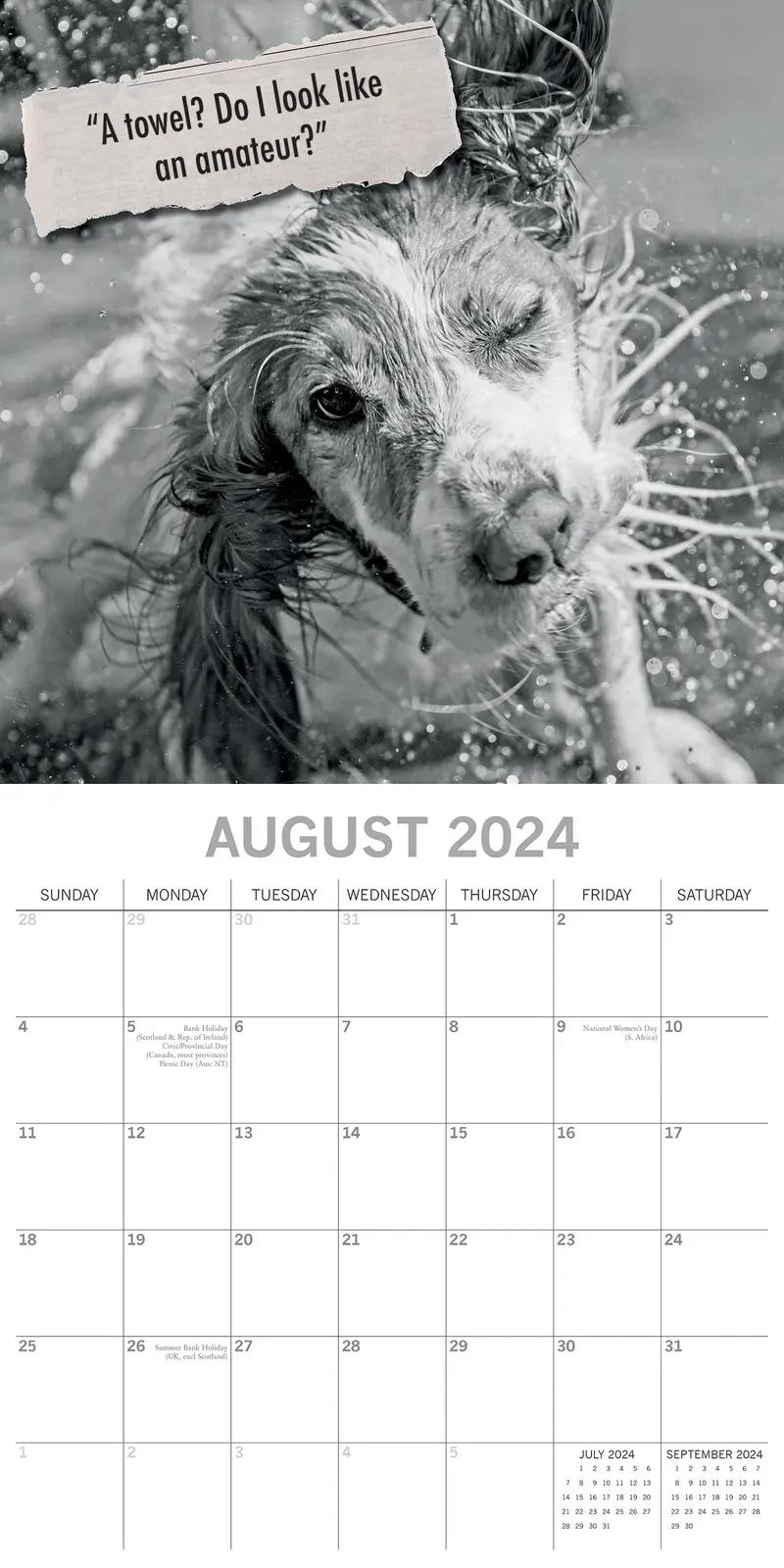 Mutts - 2024 Square Wall Calendar Pets Animals 16 Month Premium Planner New Year Price