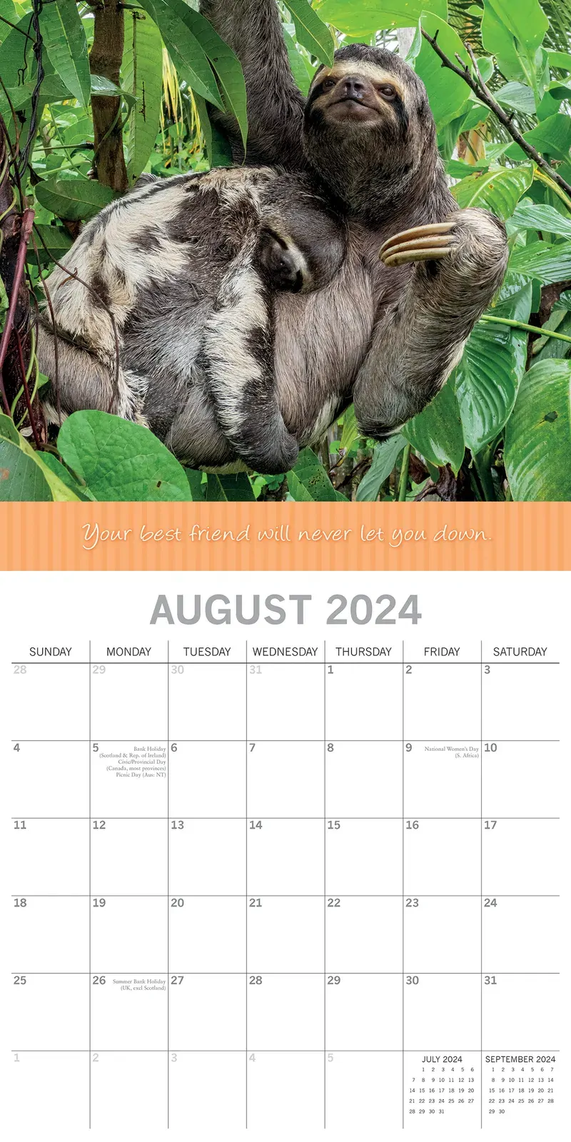 Best Friends - 2024 Square Wall Calendar Pets Animals 16 Months Premium Planner Price