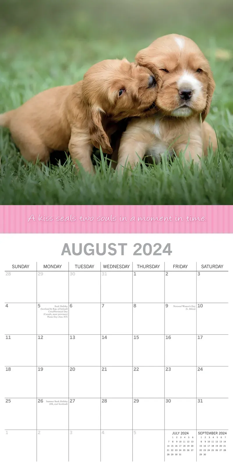 Kisses 2024 Square Wall Calendar Pets Animals 16 Months Premium Planner New Year Price