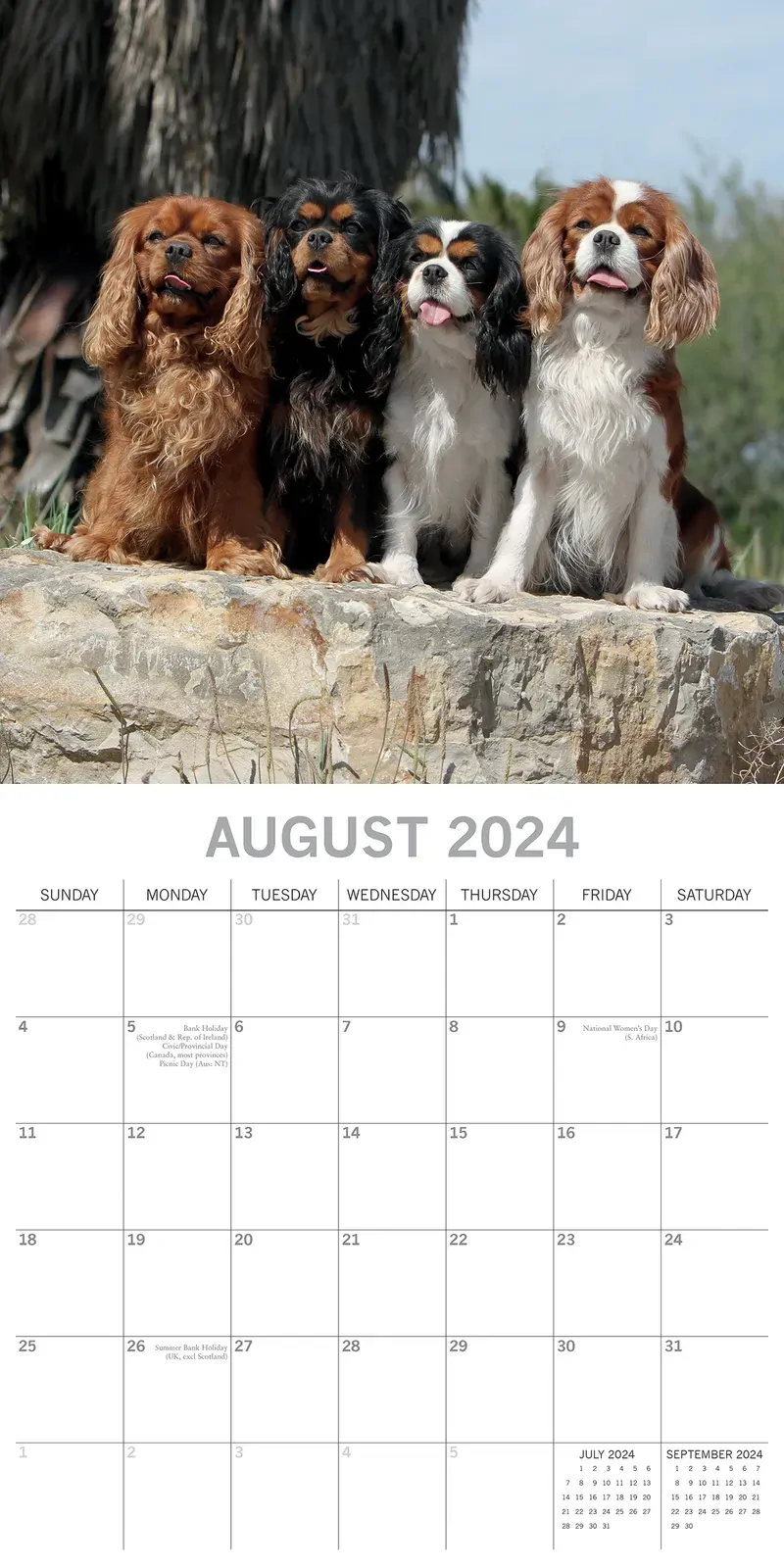 Cavalier King Charles Spaniels - 2024 Square Wall Calendar Dog 16 Months Planner Price