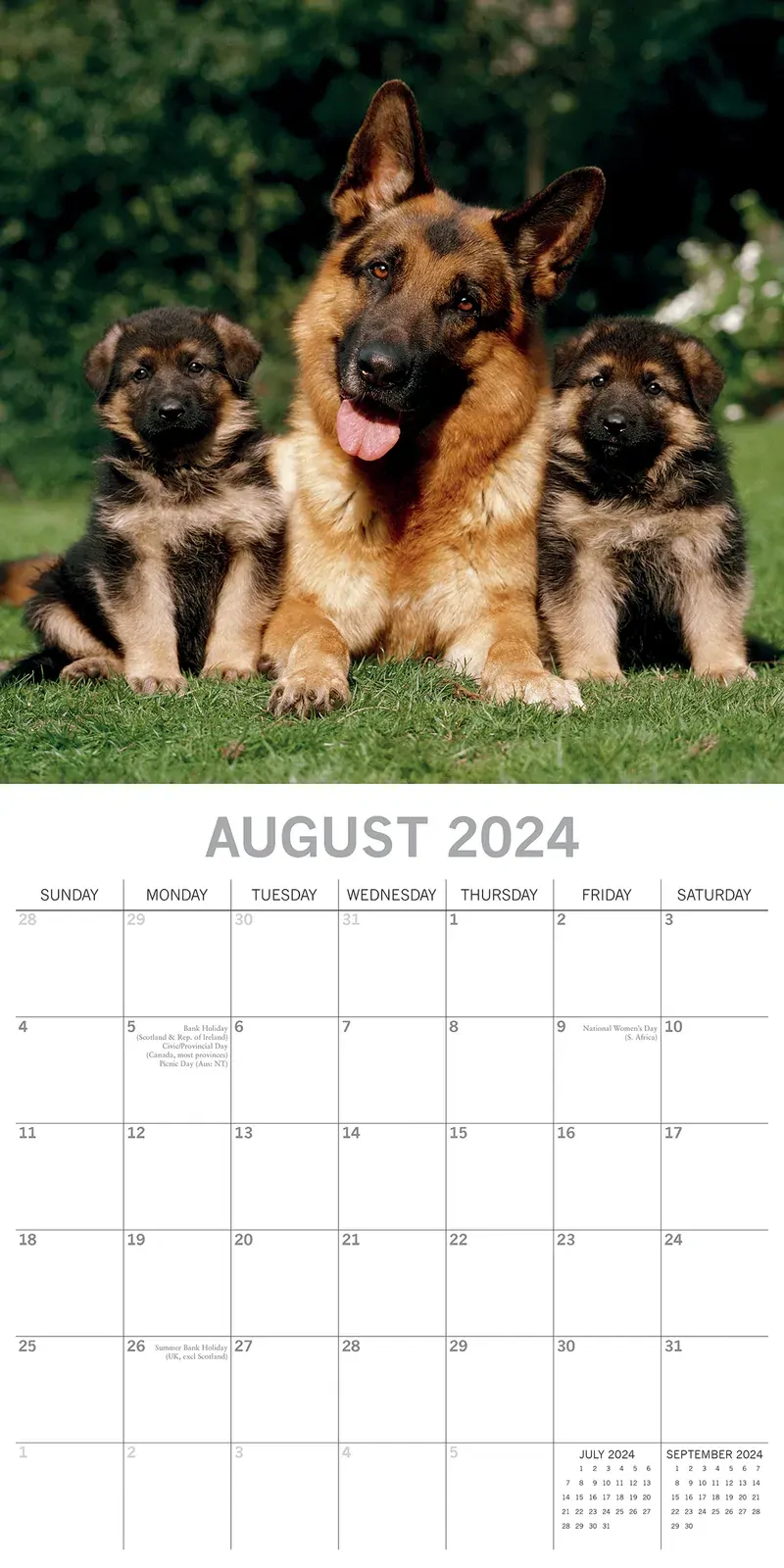 German Shepherds - 2024 Square Wall Calendar Pets Dog 16 Months Premium Planner Price