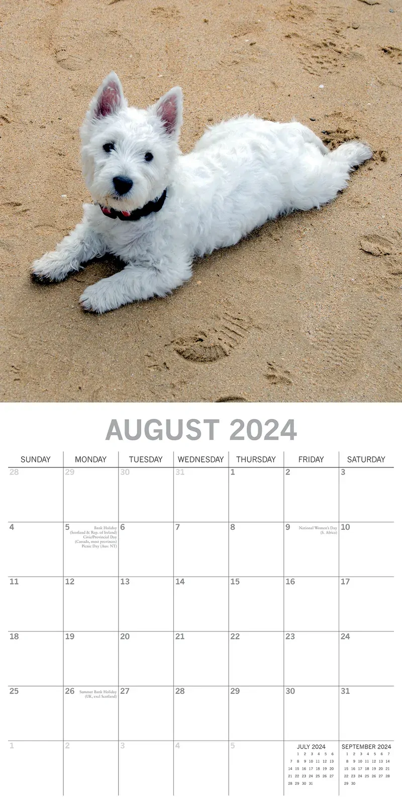 West Highland White Terriers 2024 Square Wall Calendar Pets Dog 16 Month Planner Price
