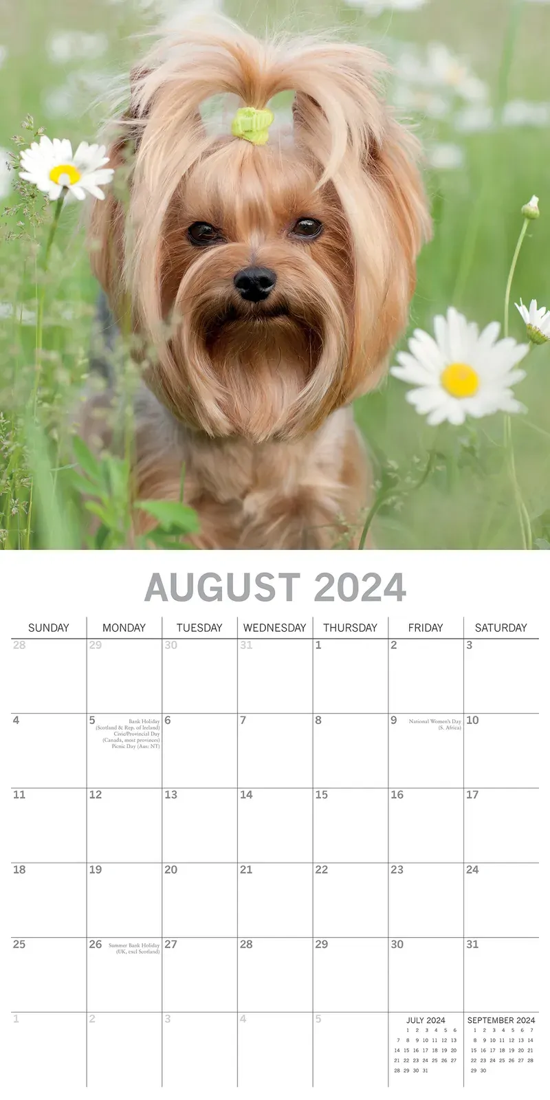 Yorkshire Terriers - 2024 Square Wall Calendar Pets Dog 16 Month Premium Planner Price