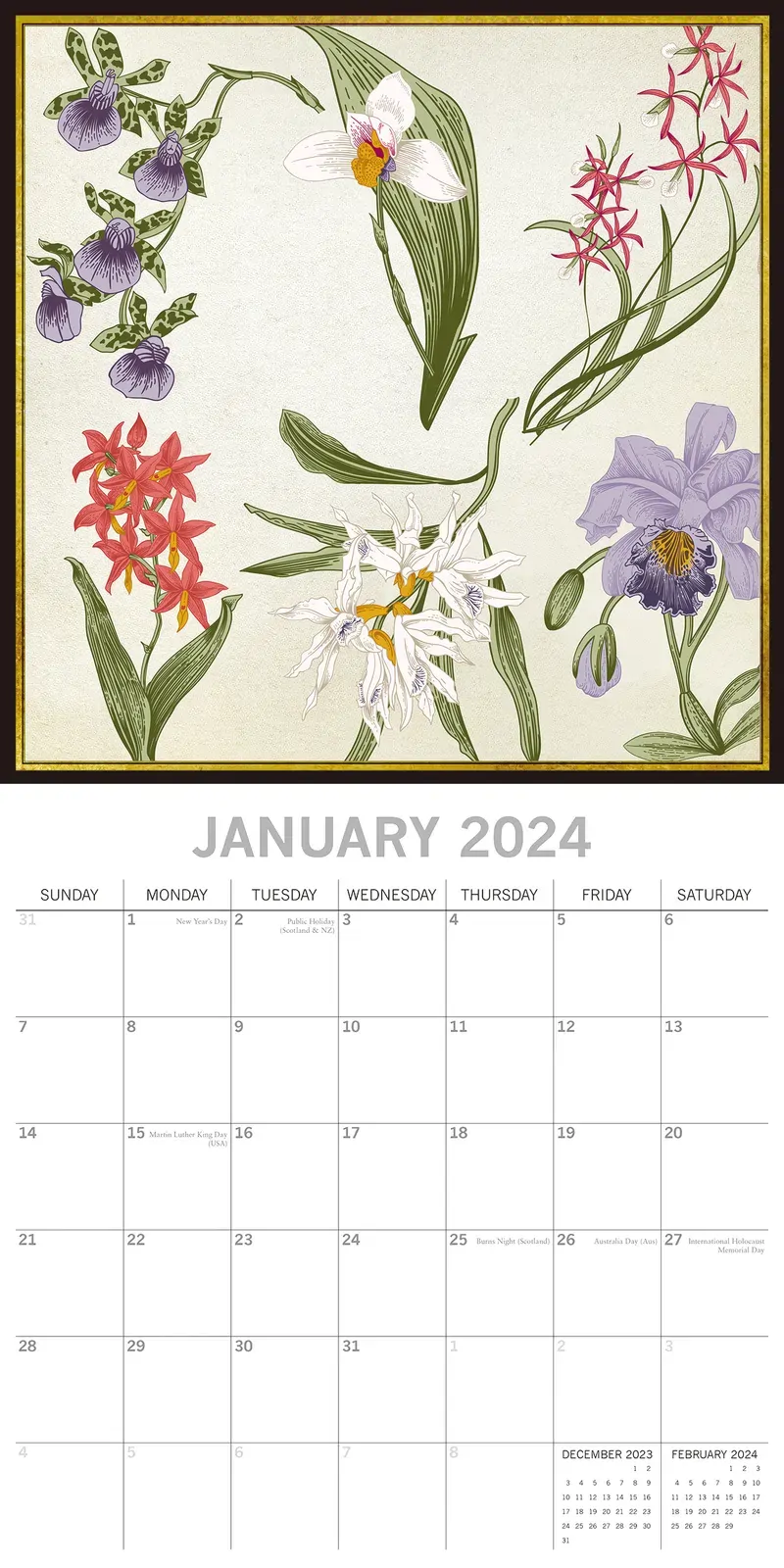 Botanicals - 2024 Square Wall Calendar 16 Months Arts Planner Xmas New Year Gift Price