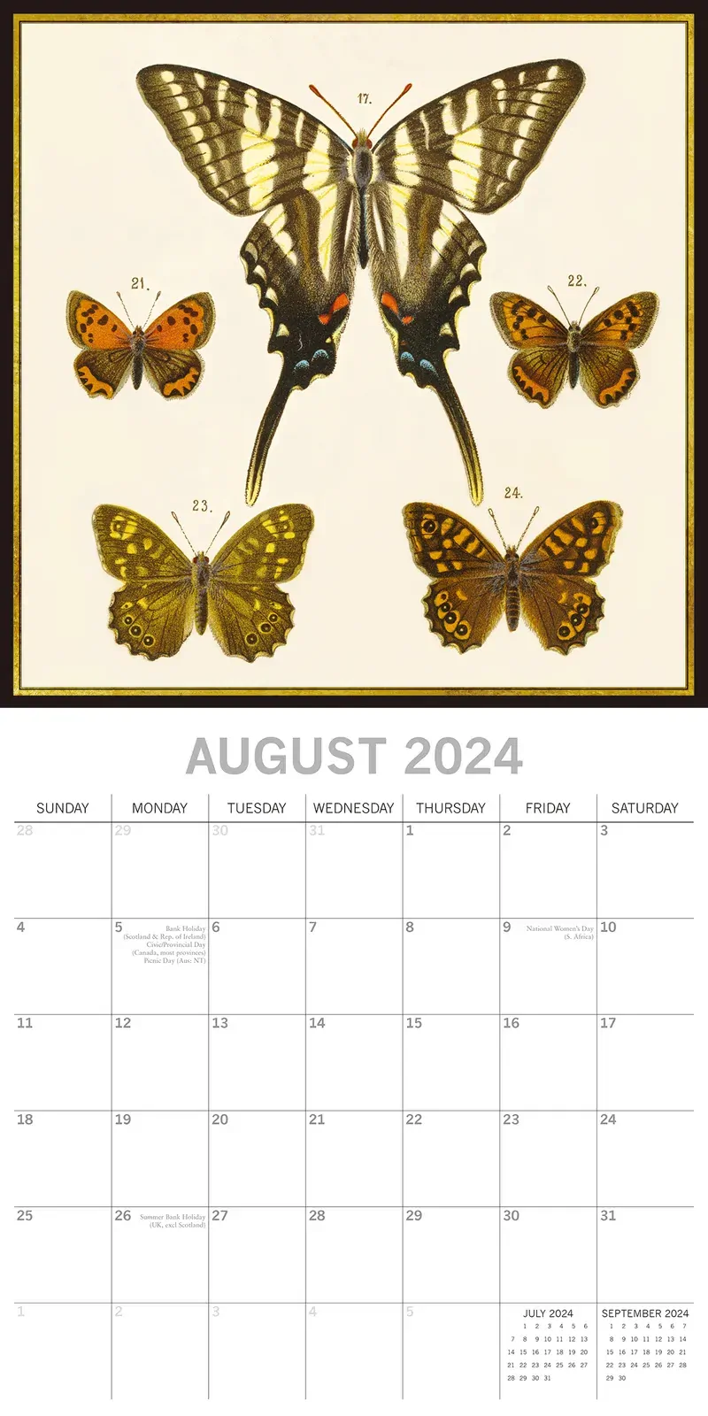 Insects 2024 Square Wall Calendar 16 Months Arts Planner Christmas New Year Gift Price