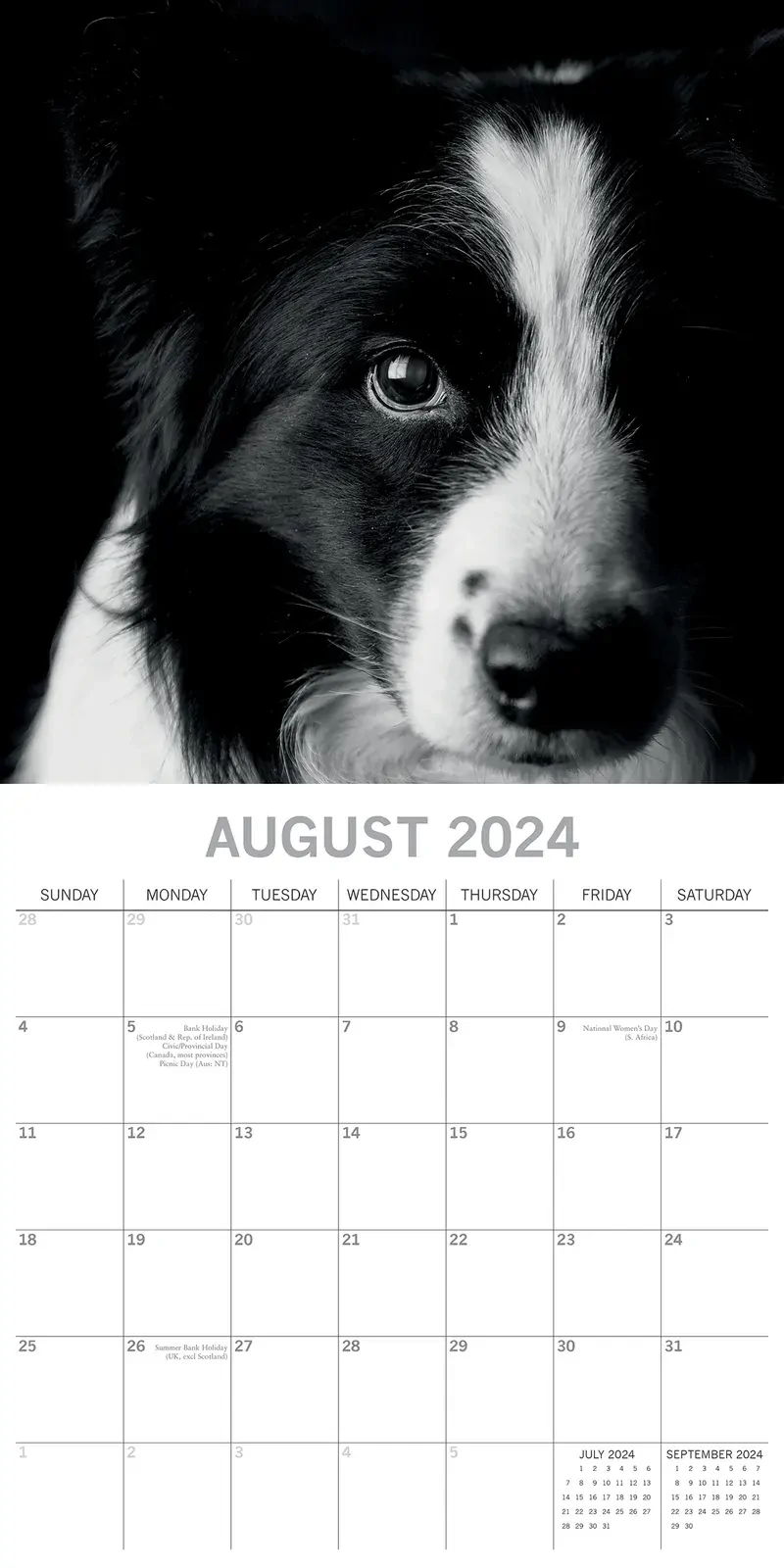 Dog Portraits - 2024 Square Wall Calendar 16 Months Black & White Planner Gift Price