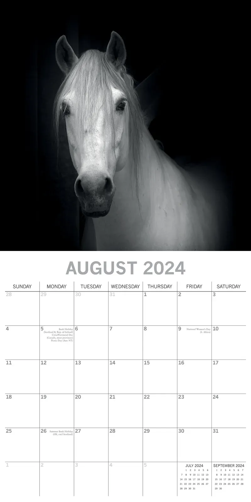 Horse Portraits - 2024 Square Wall Calendar 16 Months Black & White Planner Gift Price