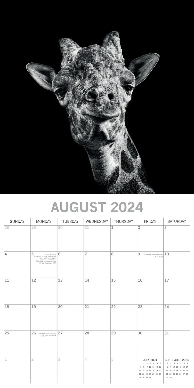 Wild Portraits - 2024 Square Wall Calendar 16 Months Black & White Planner Gift Price