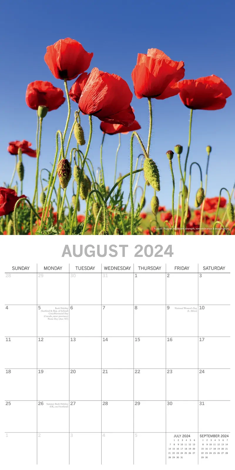 Flower of the Month - 2024 Square Wall Calendar 16 Months Floral Planner Gift Price