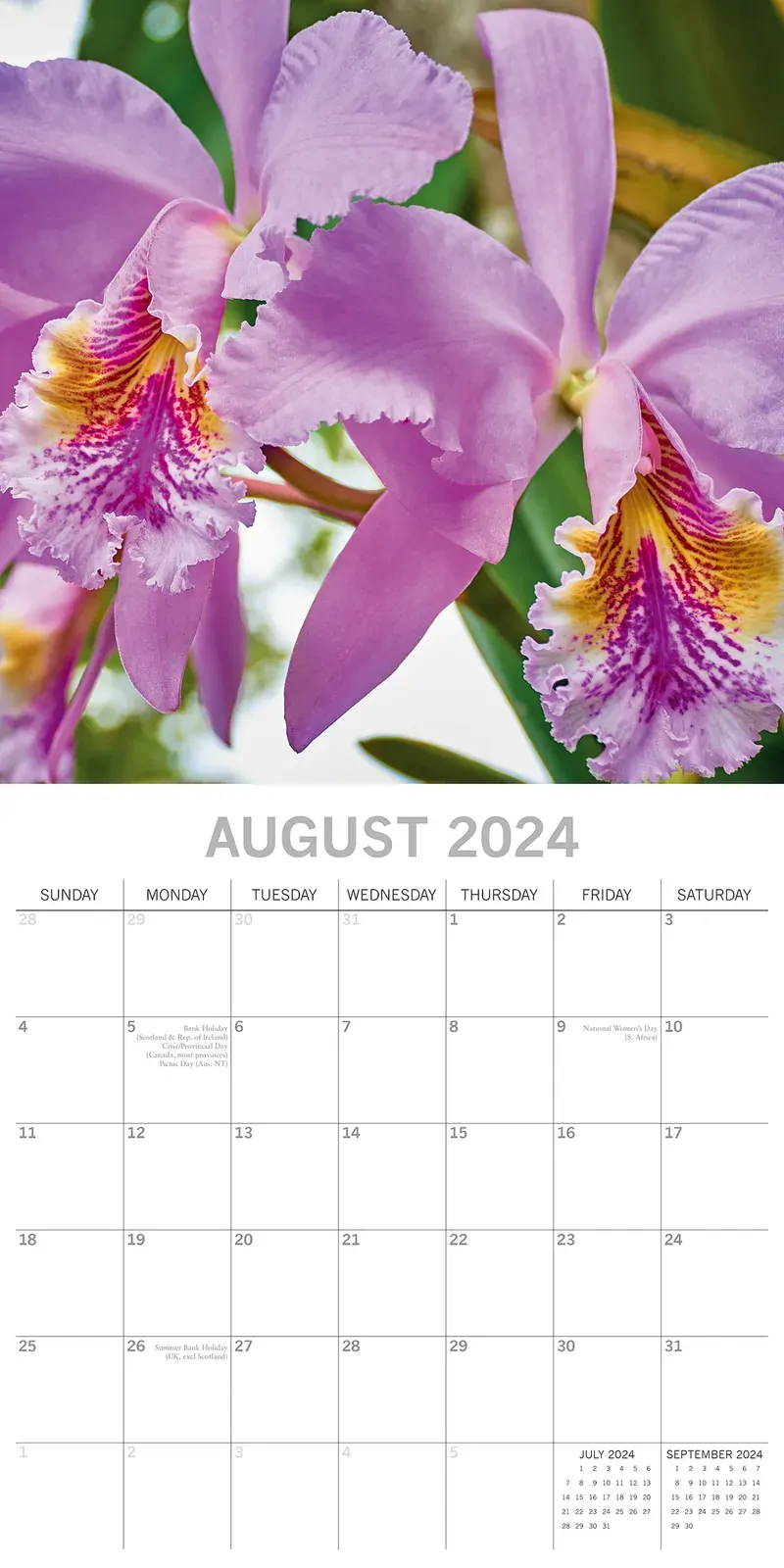 Orchids 2024 Square Wall Calendar 16Month Floral Planner Christmas New Year Gift Price