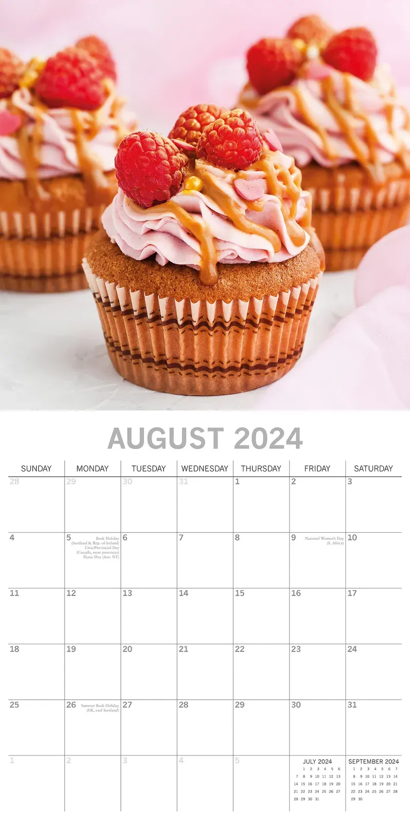 Cupcakes 2024 Square Wall Calendar 16 Month Food Planner Christmas New Year Gift Price