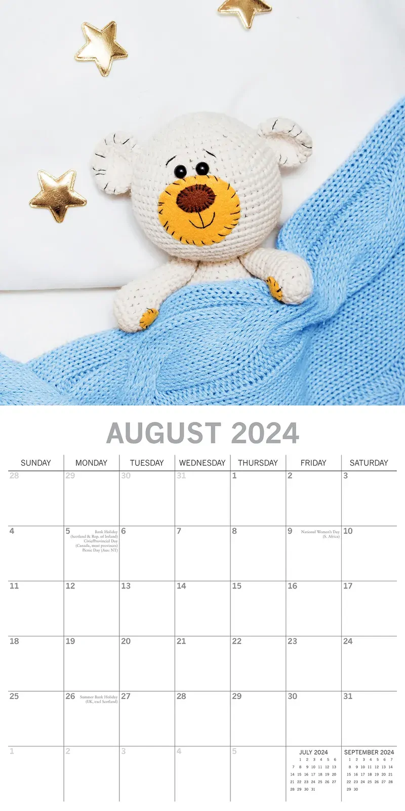 Teddy Bears - 2024 Square Wall Calendar 16 Month Lifestyle Planner New Year Gift Price
