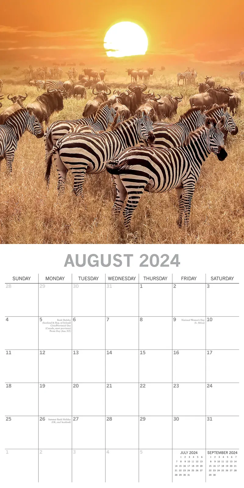 Safari 2024 Square Wall Calendar 16Month Premium Planner Christmas New Year Gift Price