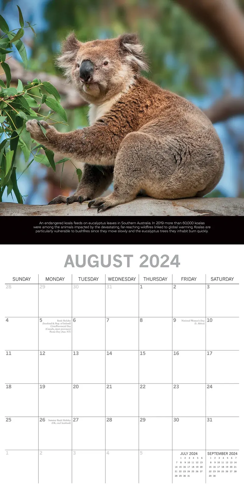 Save the Planet - 2024 Square Wall Calendar 16 Months Planner Xmas New Year Gift Price