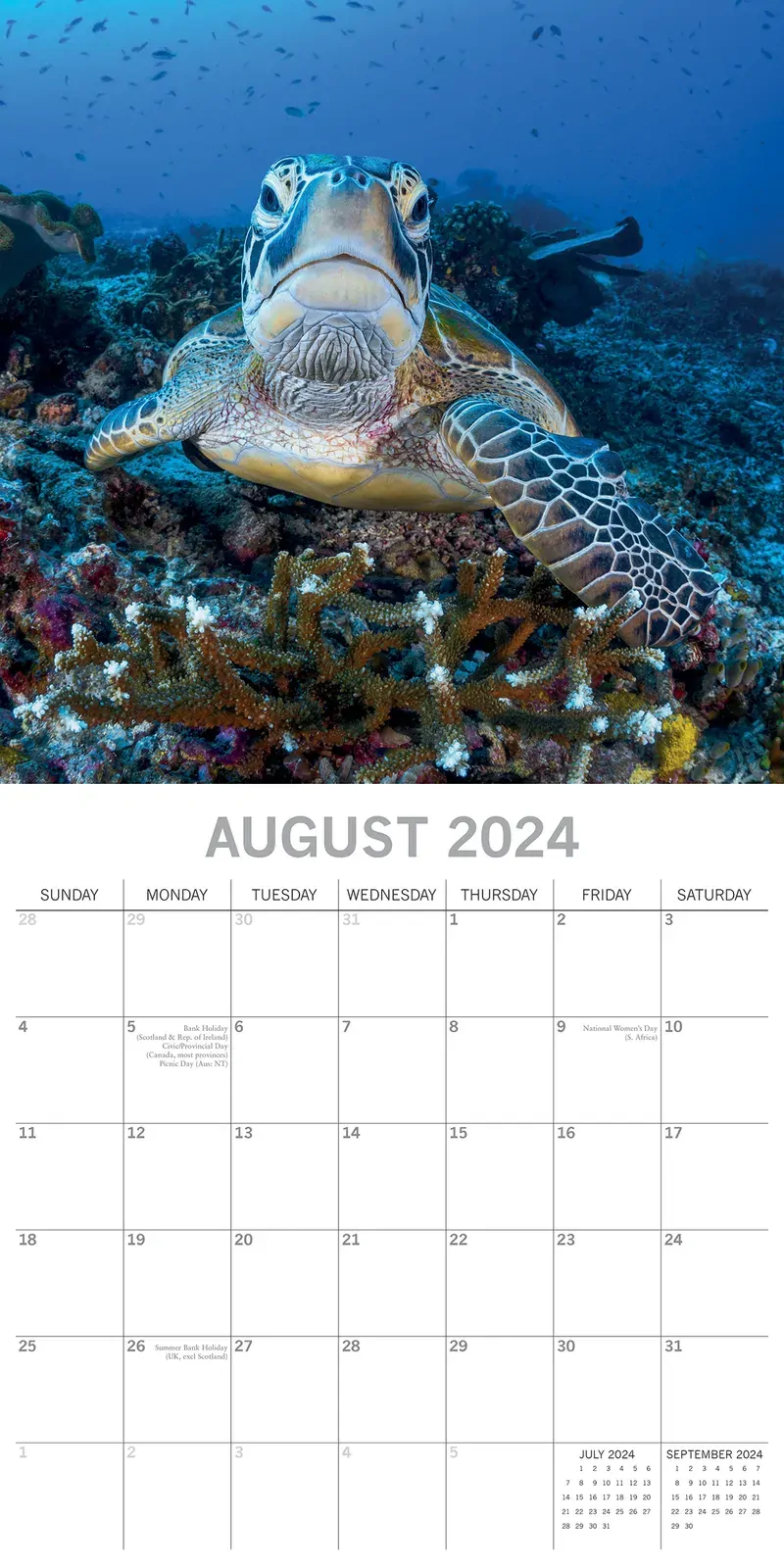 Under the Sea 2024 Square Wall Calendar 16 Month Planner Christmas New Year Gift Price