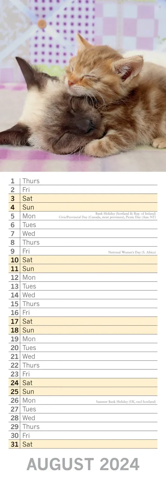 Cats & Kittens - 2024 Slimline Slim Wall Calendar Hanging Planner New Year Gift Price