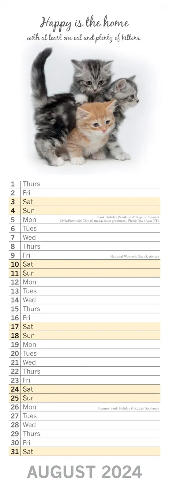 Cute Kittens - 2024 Slimline Slim Wall Calendar Hanging Planner New Year Gift Price