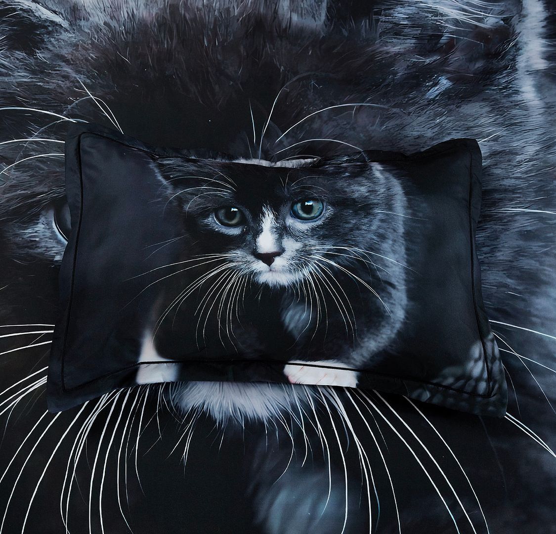 Cat Quilt Cover Set - Super King Size Price