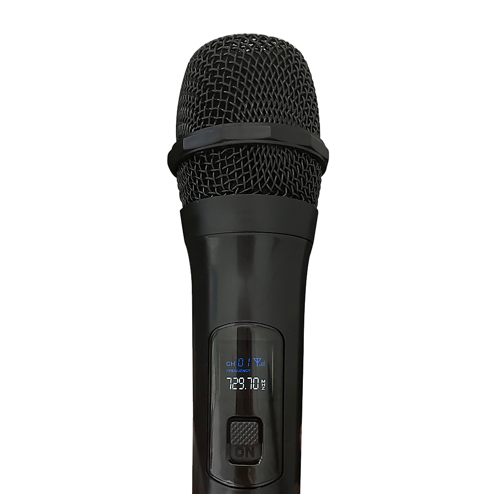 2 x Wireless Microphone Handheld Cordless Professional Mic Karaoke Receiver Price