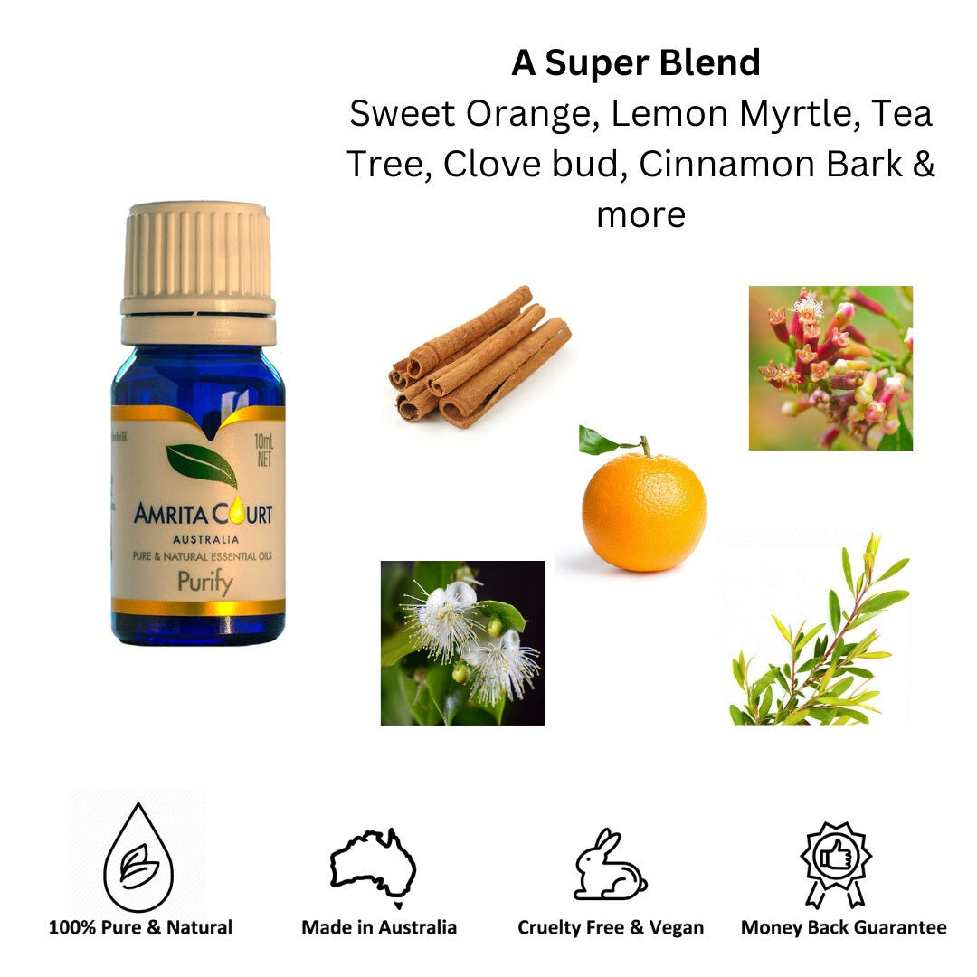 Amrita Court Pure and Essential Oils Purify 10ml Price