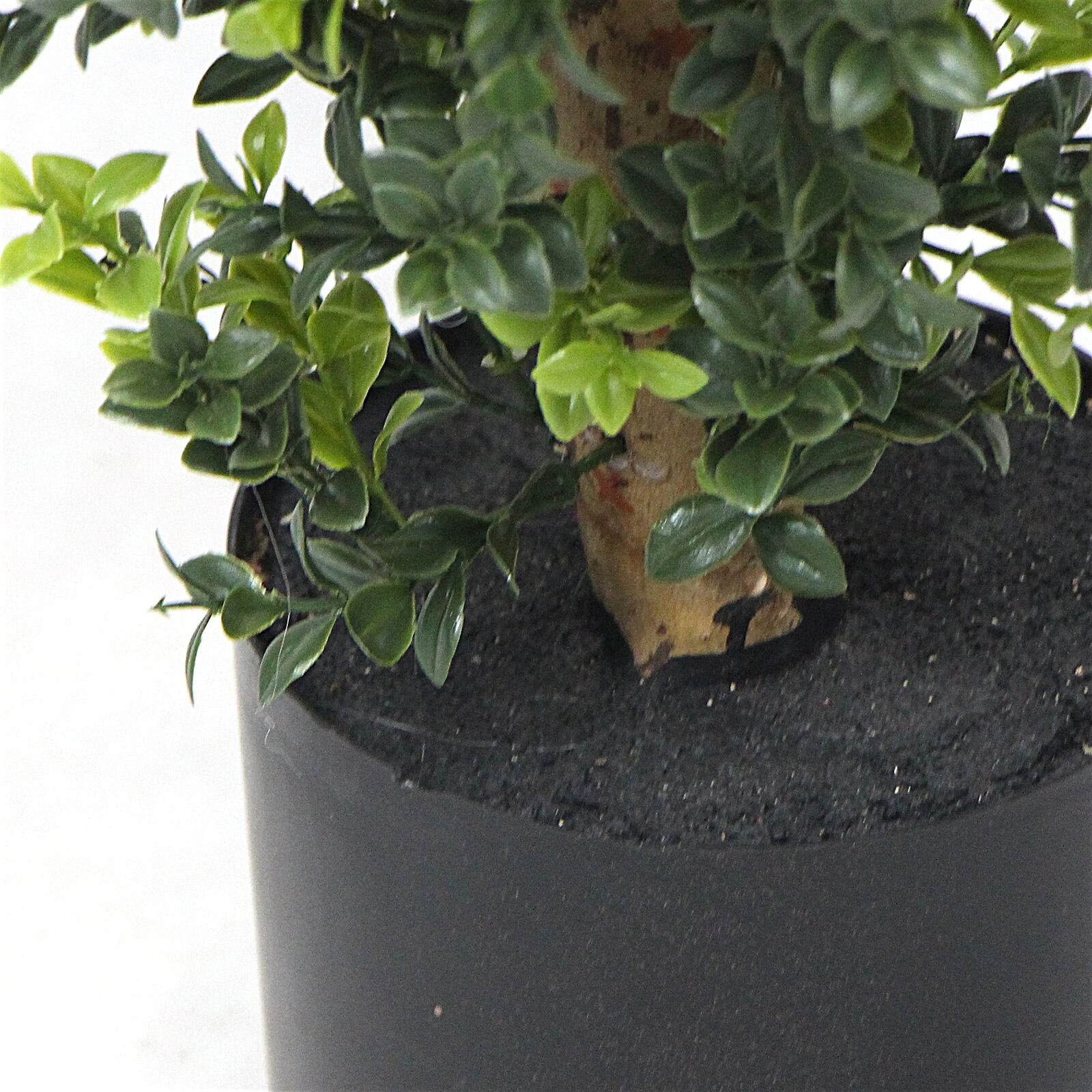 Artificial Potted Topiary Tree 120cm UV Resistant Price