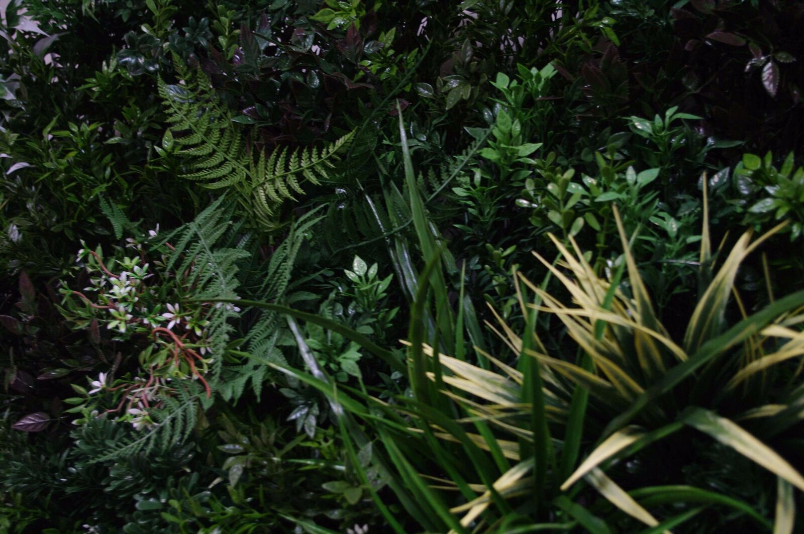UV Stabilized Green Forest Select Range Vertical Garden 100cm X 100cm Price