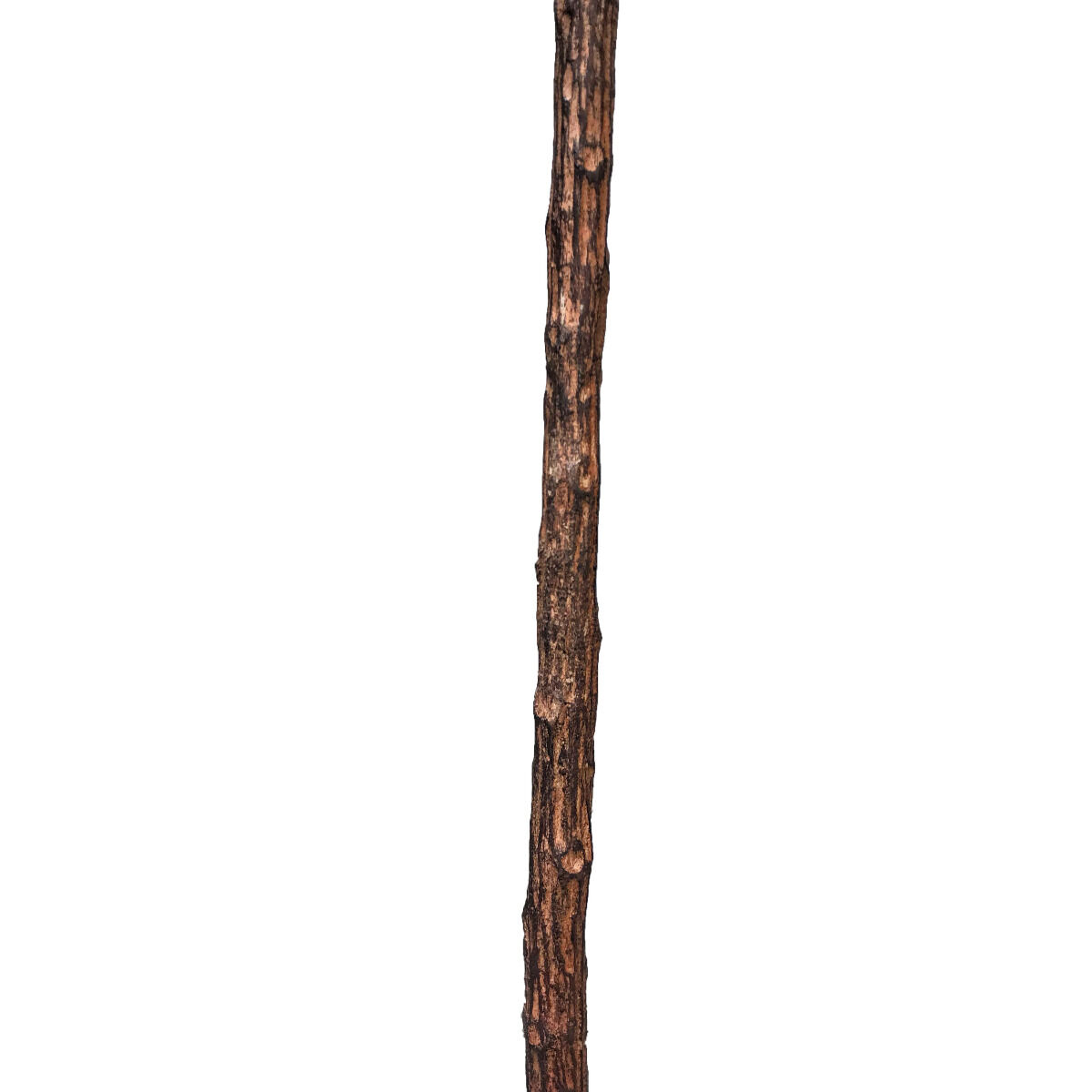 Tall Artificial Fiddle Leaf Fig 170cm Price