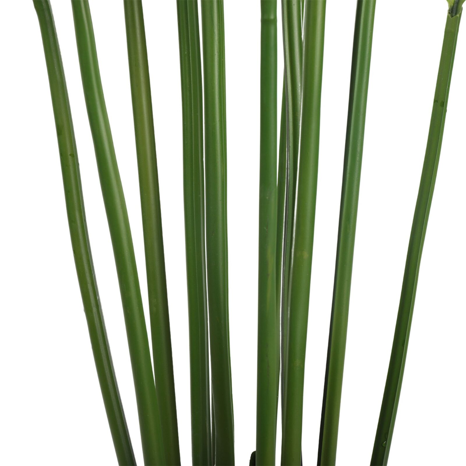 Artificial Multi Stem Hawaii Palm 190cm Price