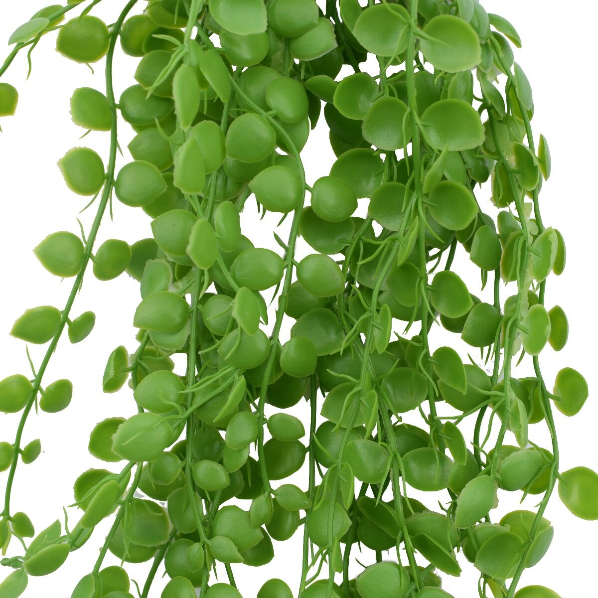 Hanging Pearls 90 cm Price