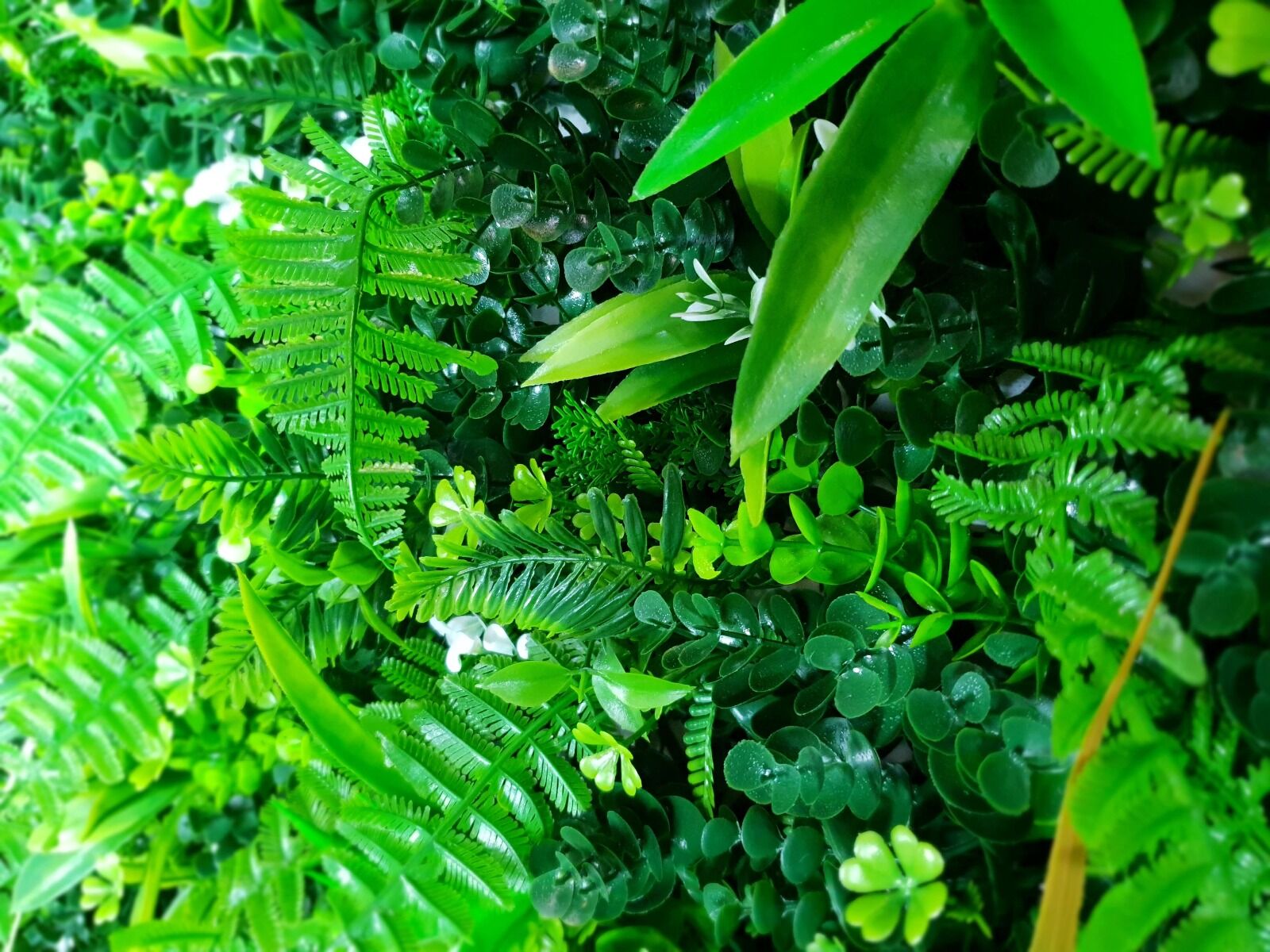 WILD TROPICS UV STABILISED 1m x 1m Price