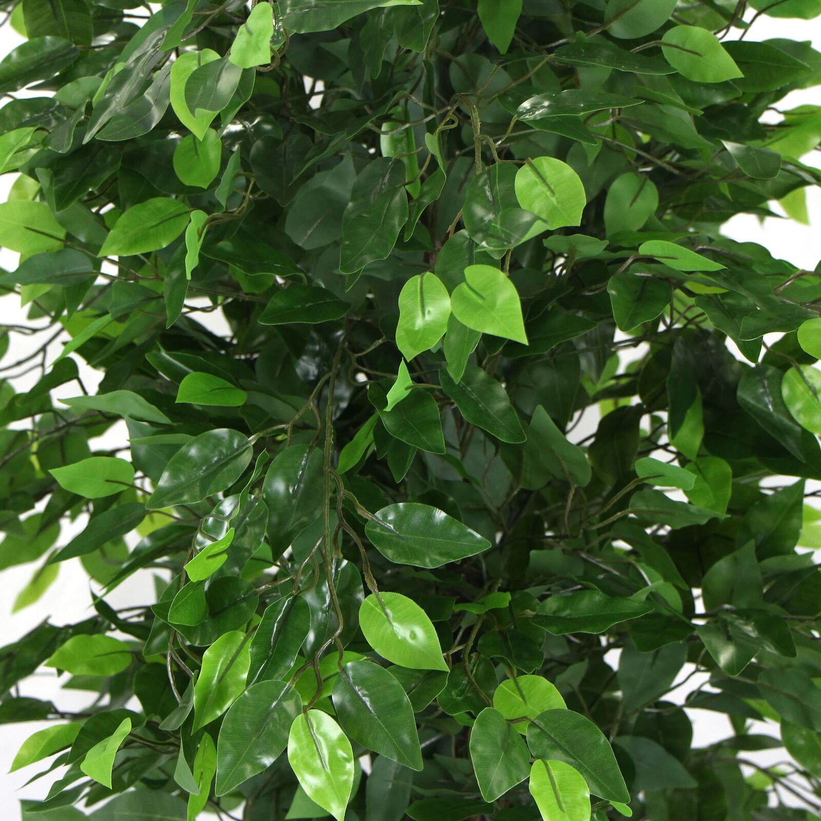 Artificial Ficus Tree 180cm Nearly Natural UV Resistant Price