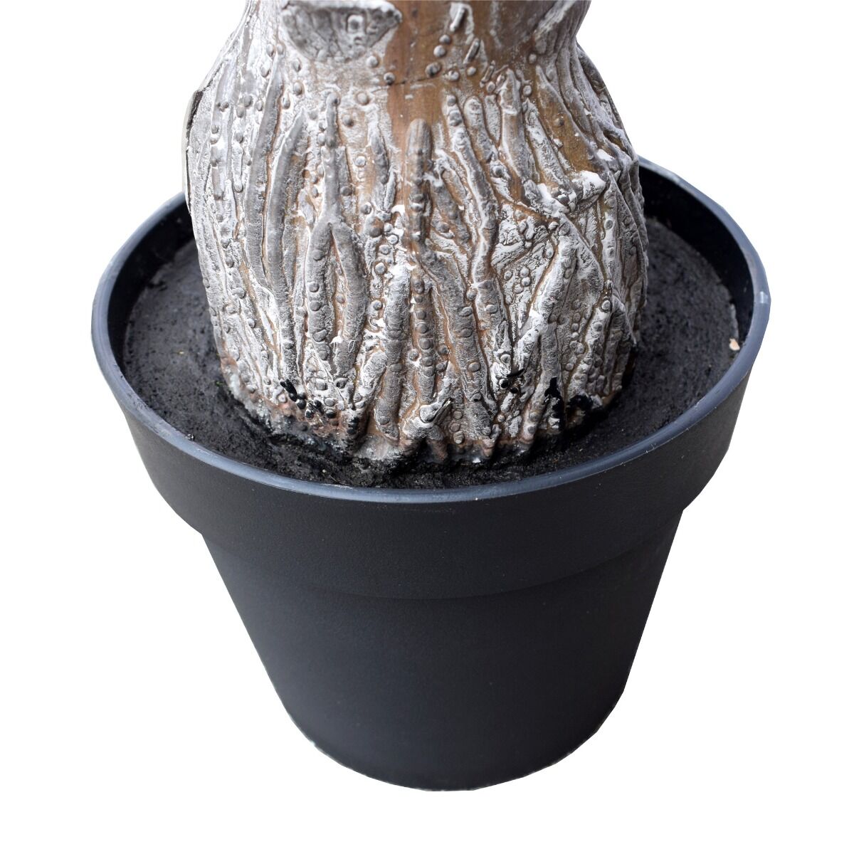Tropical Palm Tree 170cm UV Resistant Price