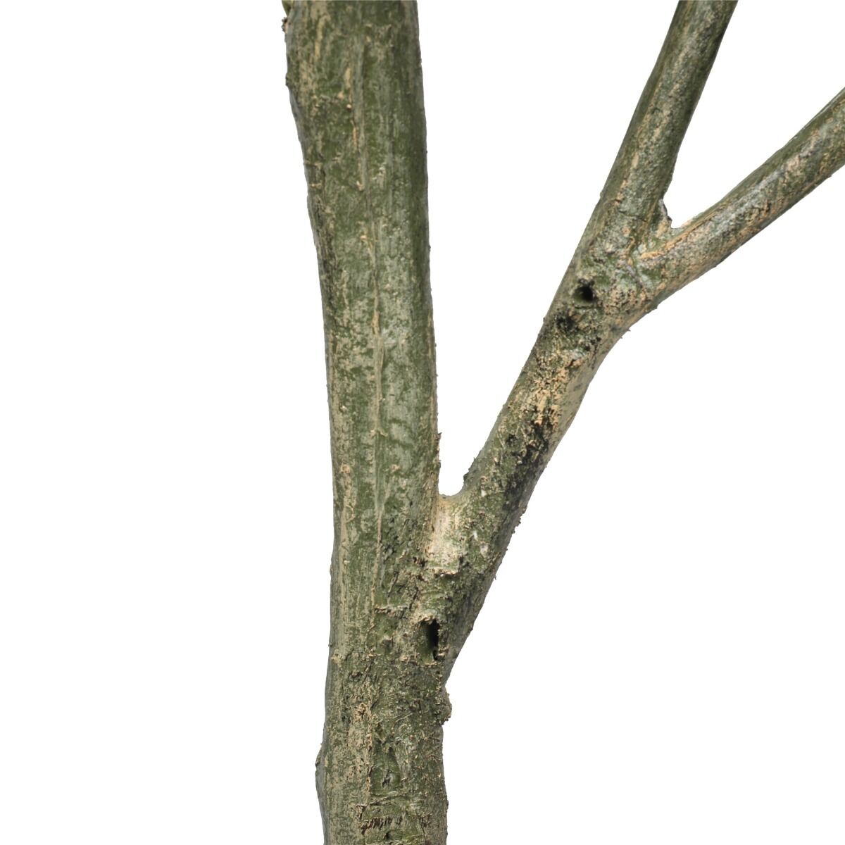 Artificial Lemon Tree (Potted) with Lemons 150cm Price