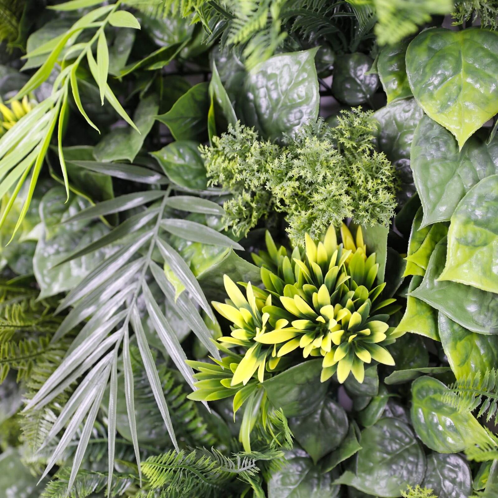 Luxury Hawaiian Sunrise Vertical Garden/Green Wall UV Resistant 1m X 1m Price
