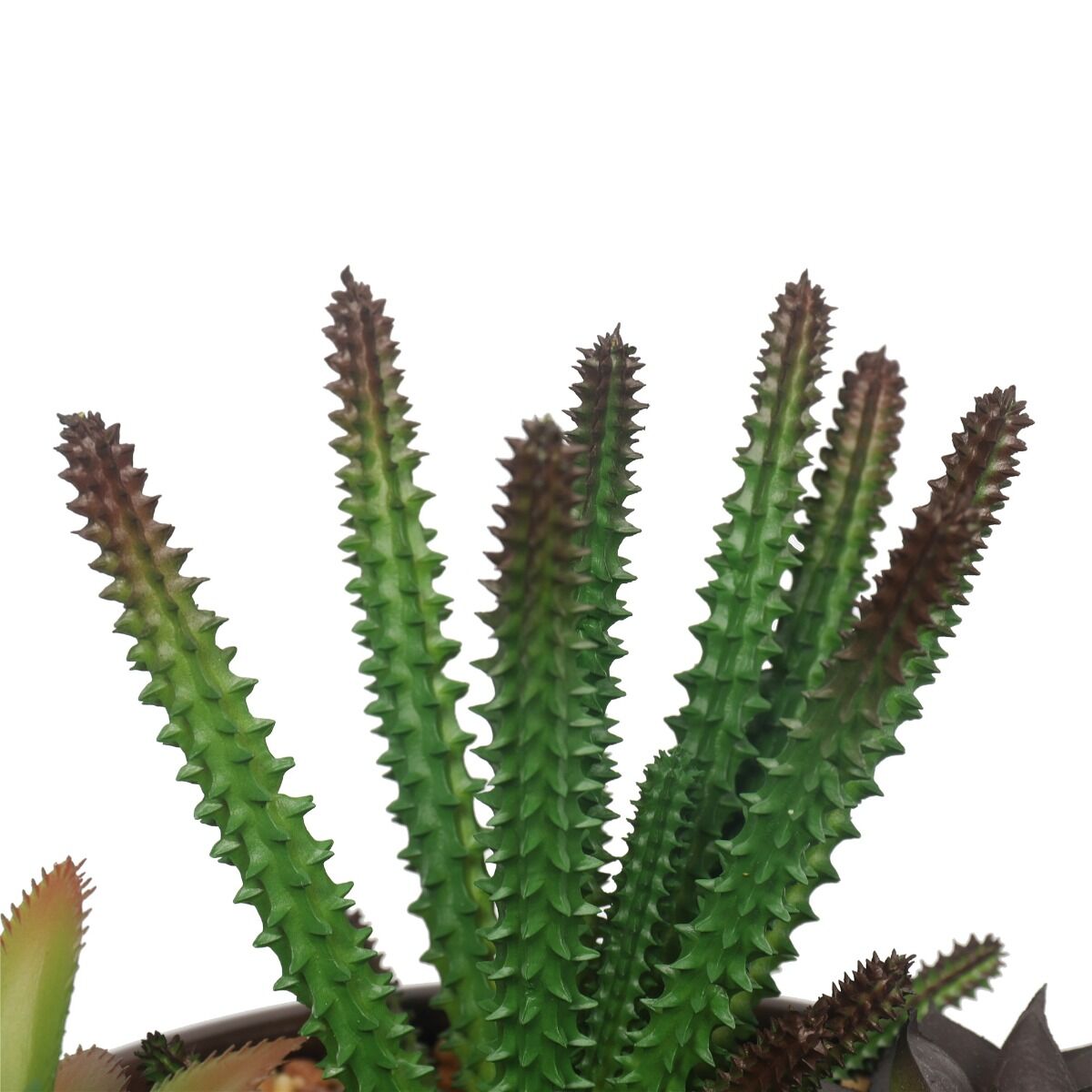 Potted Artificial Succulents with Round Decorative Bowl 19cm Price