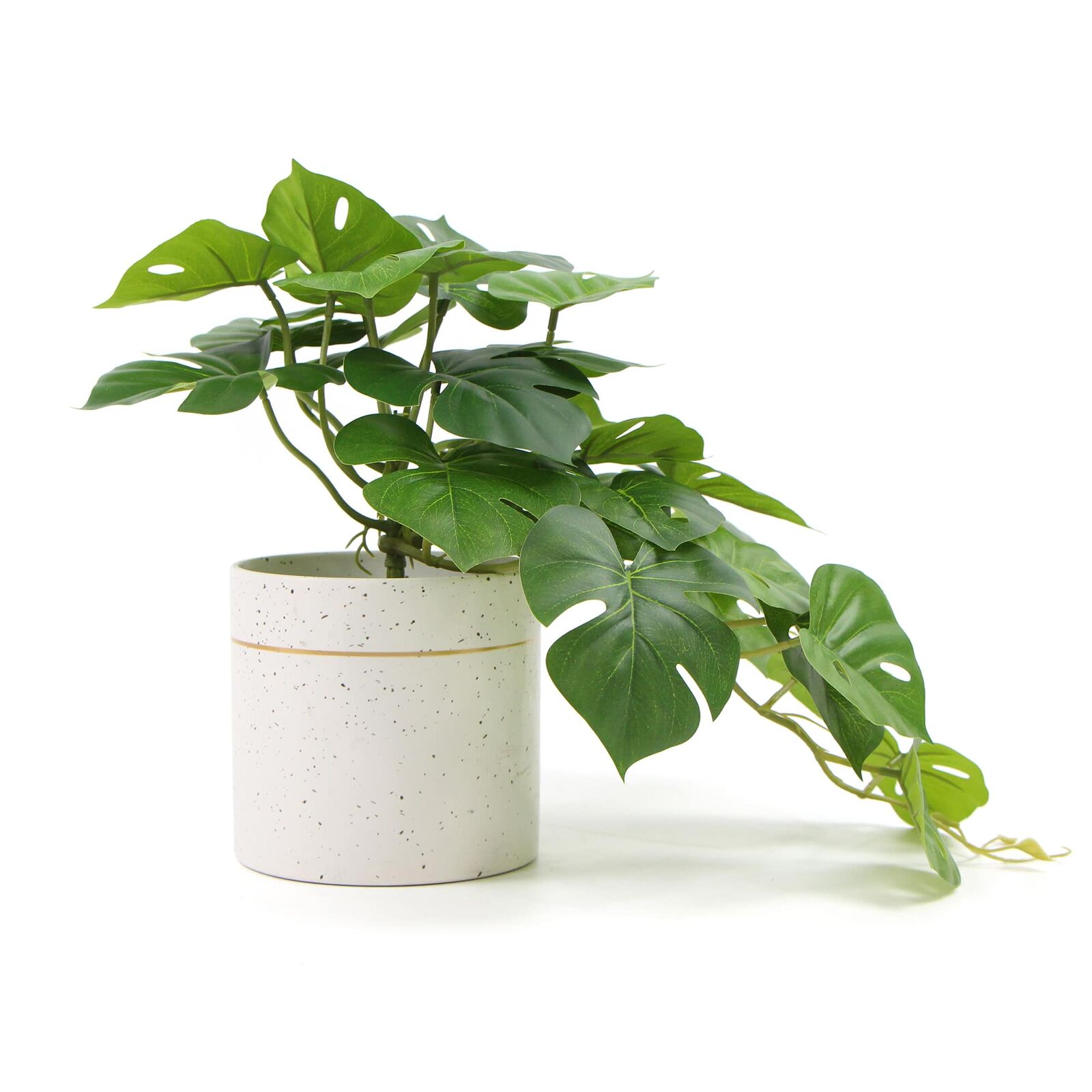 Decorative Ceramic Bowl Potted Artificial Monstera Plant 30cm Price