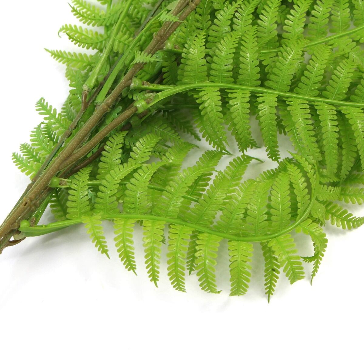 Hanging Fresh Green Boston Fern UV Resistant 80cm Price