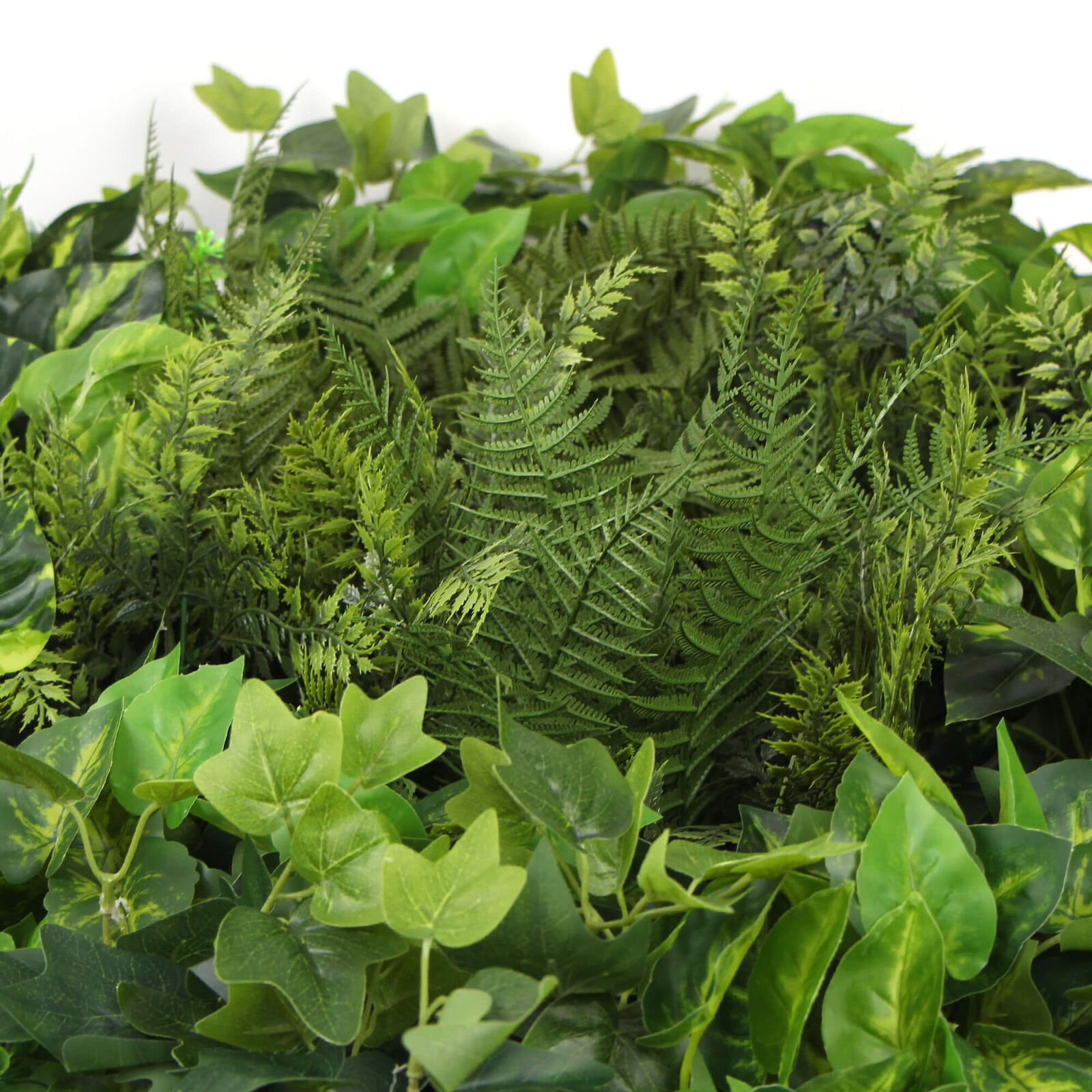 Slimline Artificial Green Wall Disc Art 80cm Mixed Green Fern & Ivy (Modern Black) Price