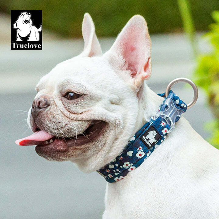 Floral Dog Collar - Blue, S Price
