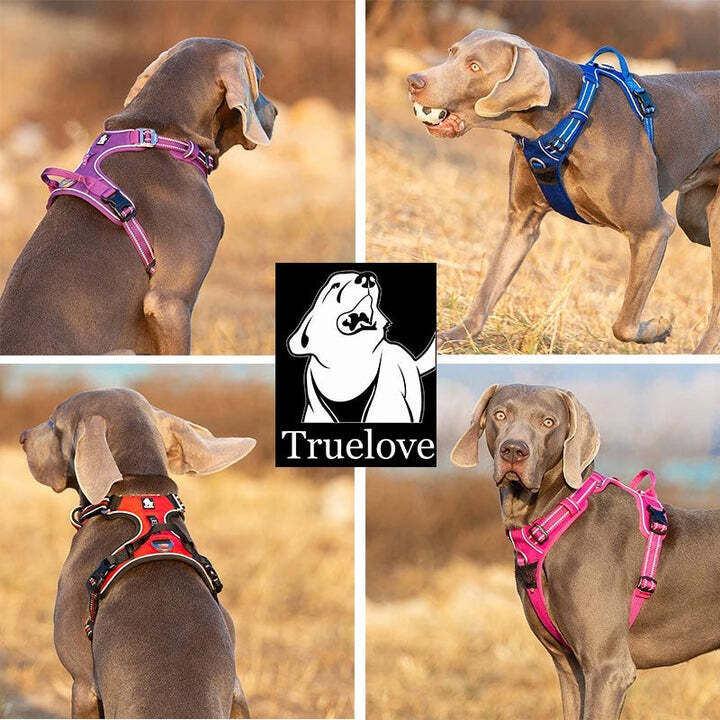No Pull Explosion Proof Dog Harness - Black, S Price