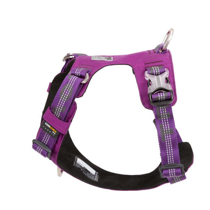 Lightweight Reflective Harness - Purple, M Price