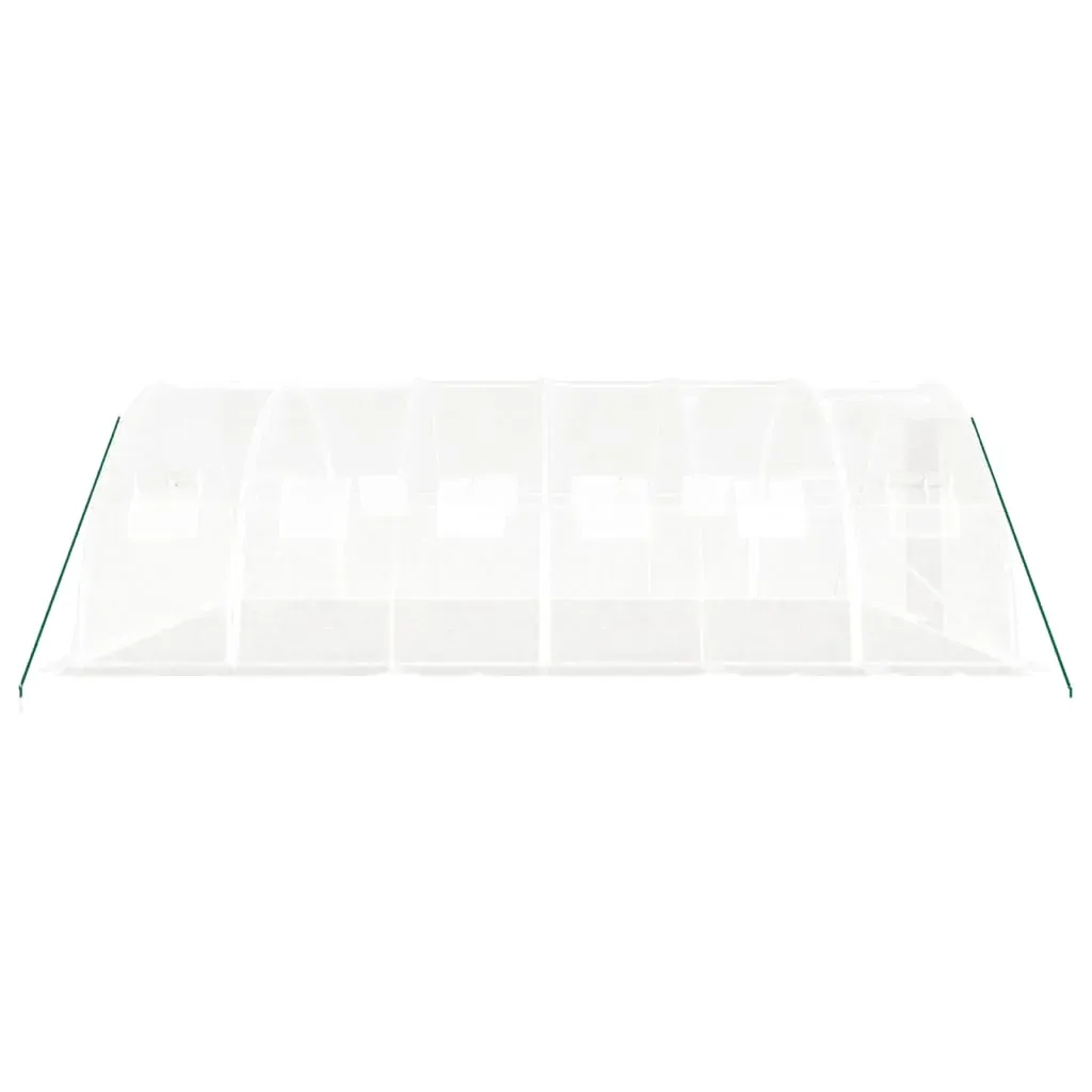 Greenhouse with Steel Frame White 24 m² 6x4x2 m Price