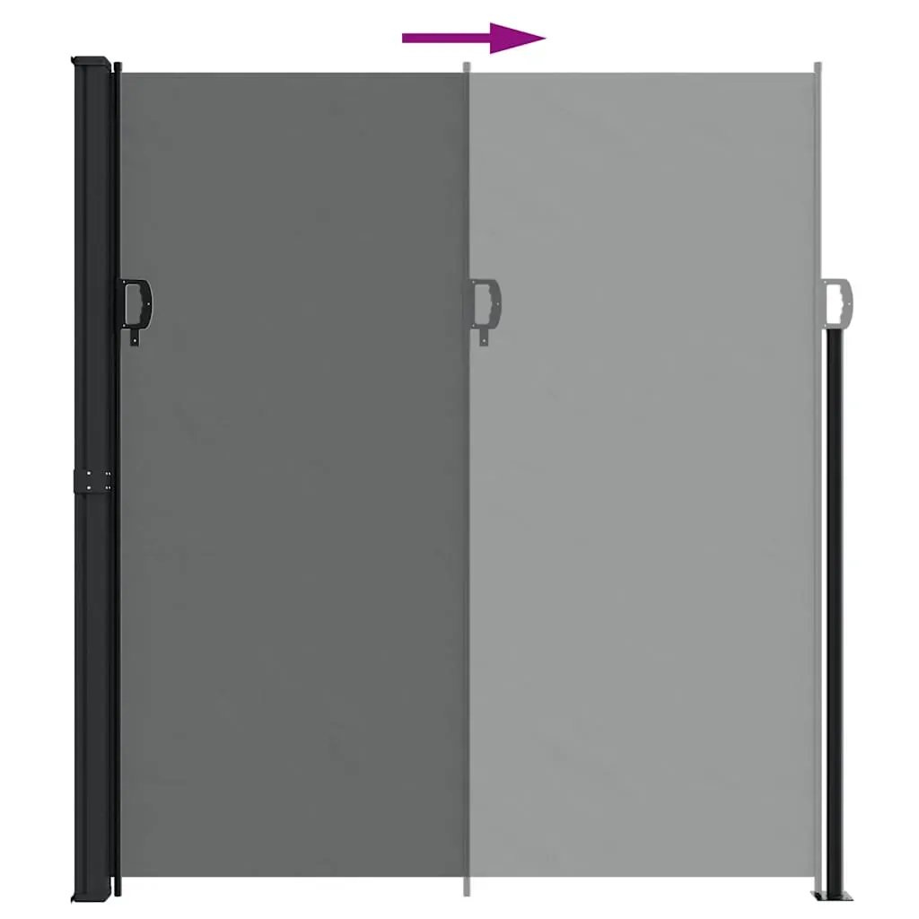 Retractable Side Awning Anthracite 220x300 cm Price