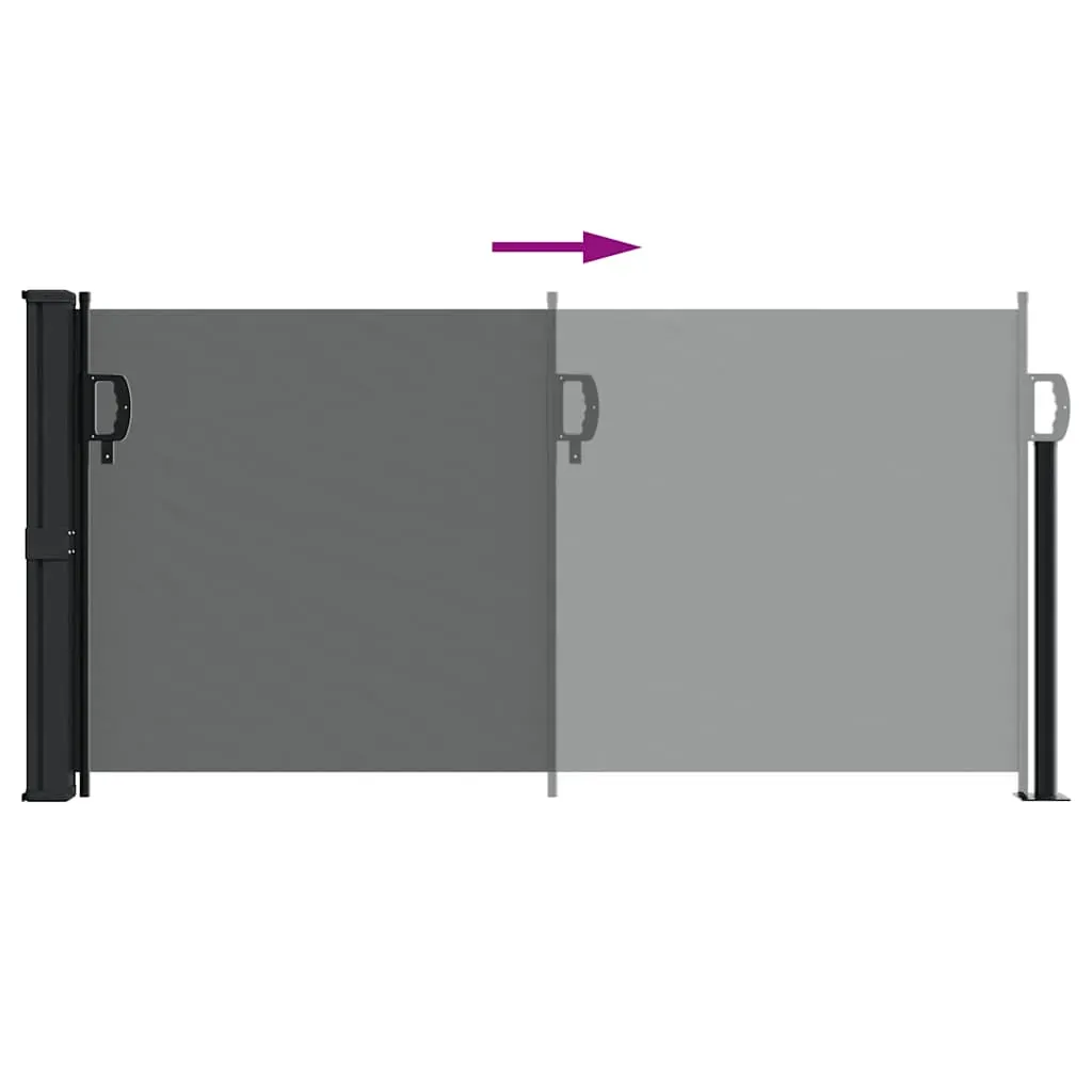 Retractable Side Awning Anthracite 100x500 cm Price