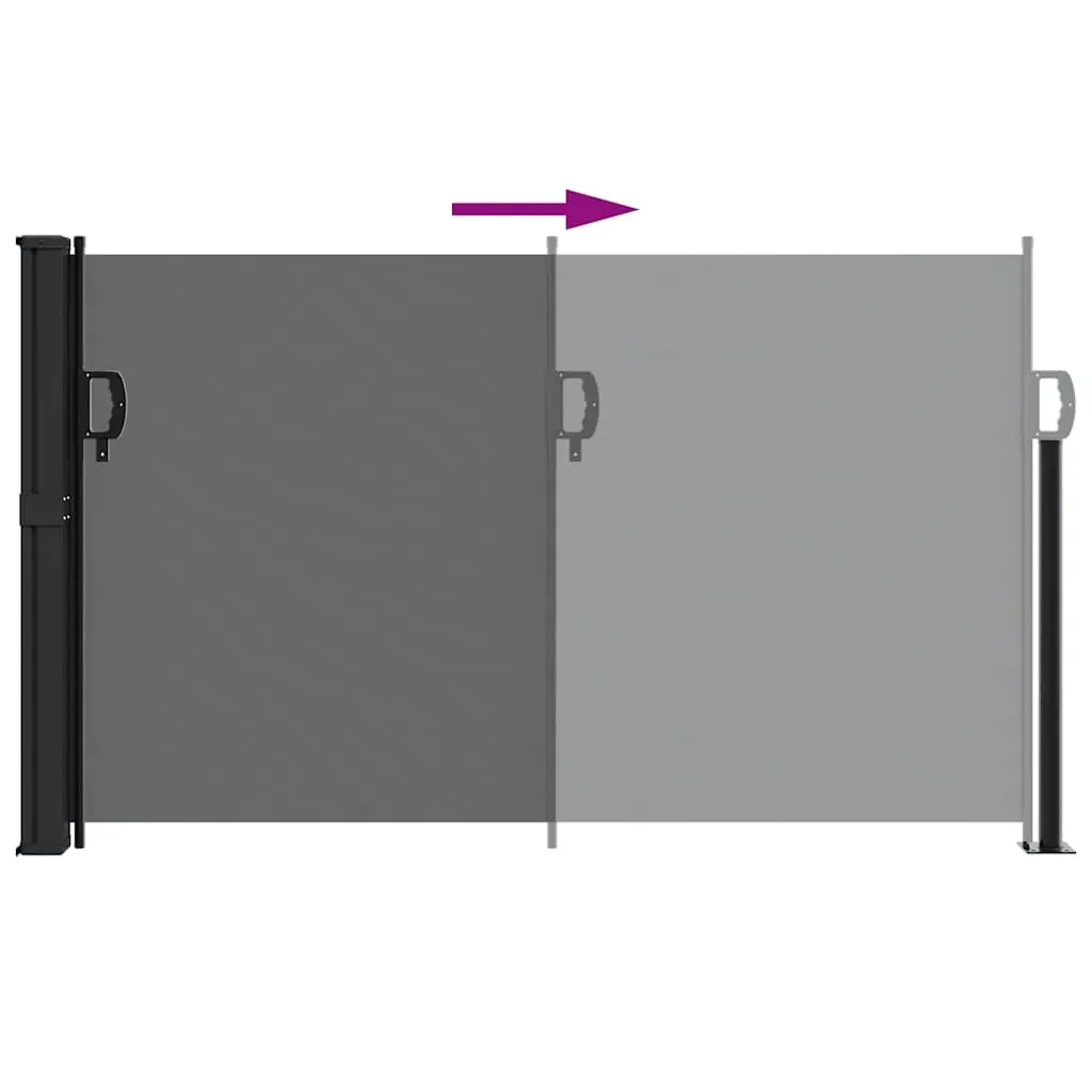 Retractable Side Awning Black 120x500 cm Price
